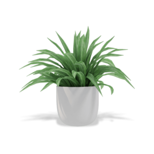 shop-bg-01